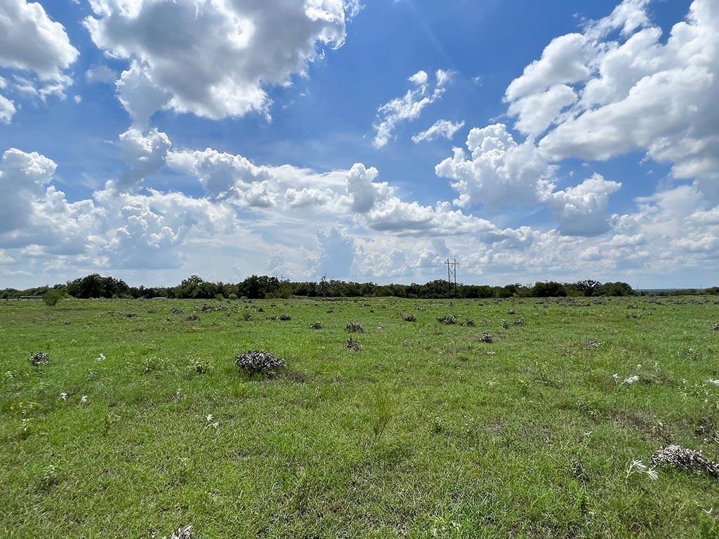 Tract #4 FM 2562 Road, Richards, TX 77873