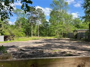 13938 African Hill, Willis, TX, 77378