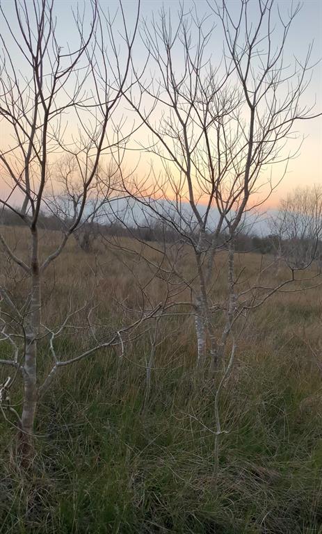 107+ acres of undeveloped land. Wether you are looking to farm or ranch or enjoy the wildlife and recreation this property is a quick getaway from Houston or Beaumont with close proximity to I-10.