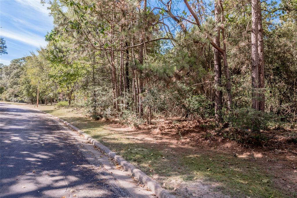 Lot 1  Westwood Drive Trinity Texas 75862, 42