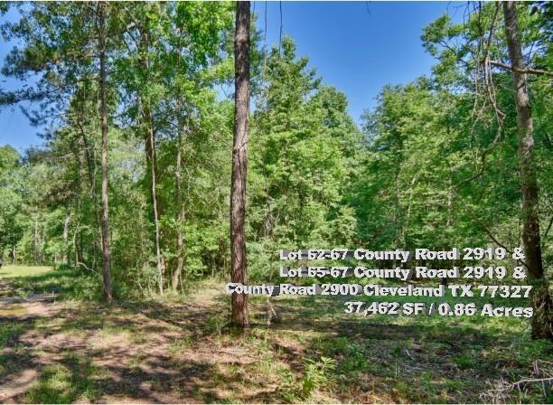 Lot 62-67  County Road 2919  Cleveland Texas 77327, 52