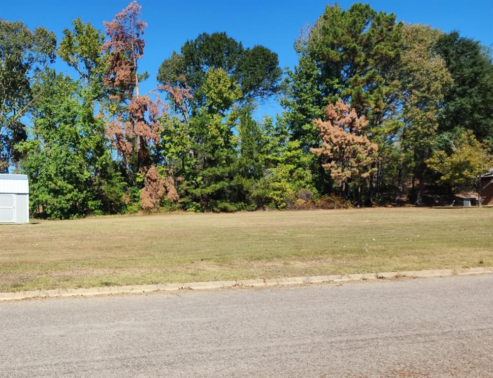119 Shady Oaks Dr