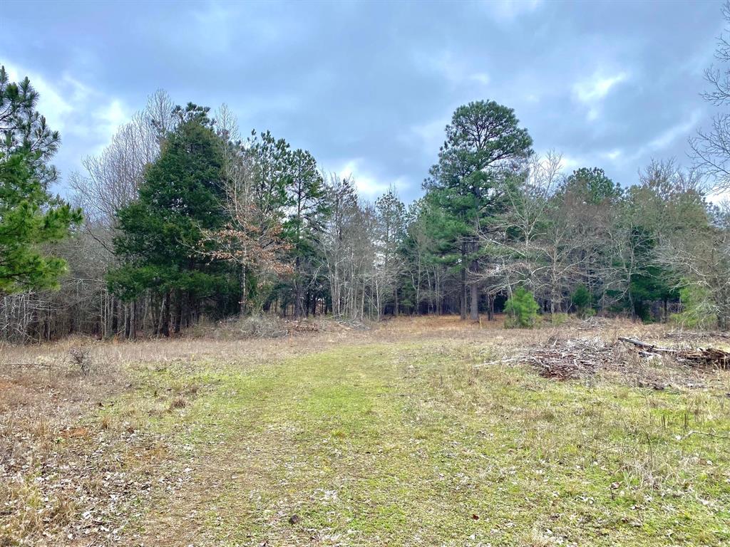 SMALL ACREAGE TRACT! 
 This small acreage tract has ample road frontage off ACR 153 (estimated 1,600ft), just minutes from Palestine. The property is mostly wooded and would make a great location for a future homebuilder. Water and utilities are available at the highway. Give us a call today to see if this property will work for you!

This property will need a new survey for accurate property boundary lines and acreage.