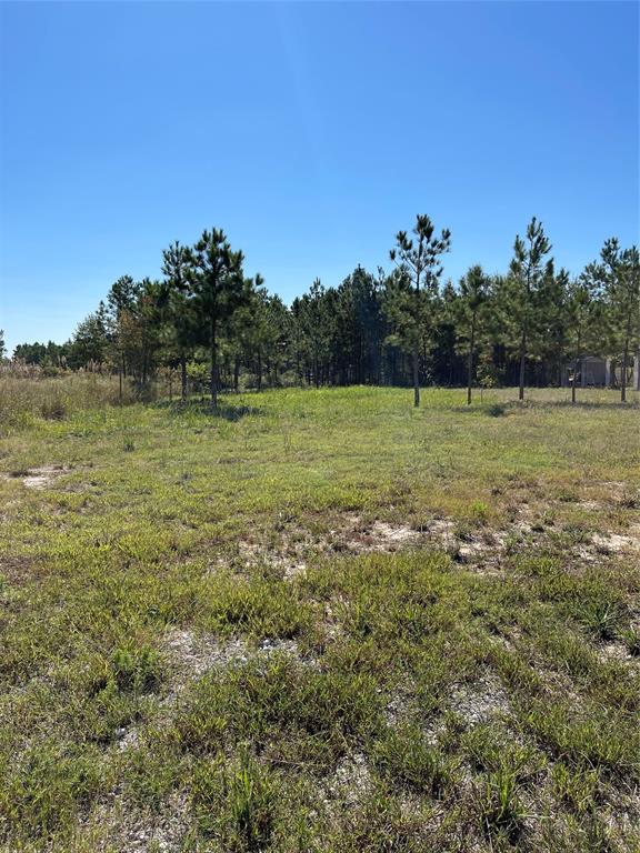 2184  Road 5500  Cleveland Texas 77327, 52
