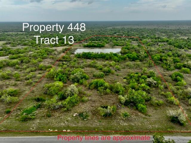 TR 13  Jackson Road Refugio Texas 78377, 85