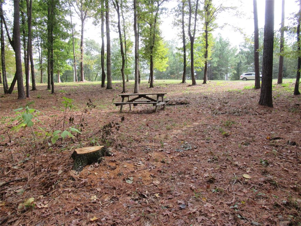 Underbrush cleared.  Picnic table and firepit in place.