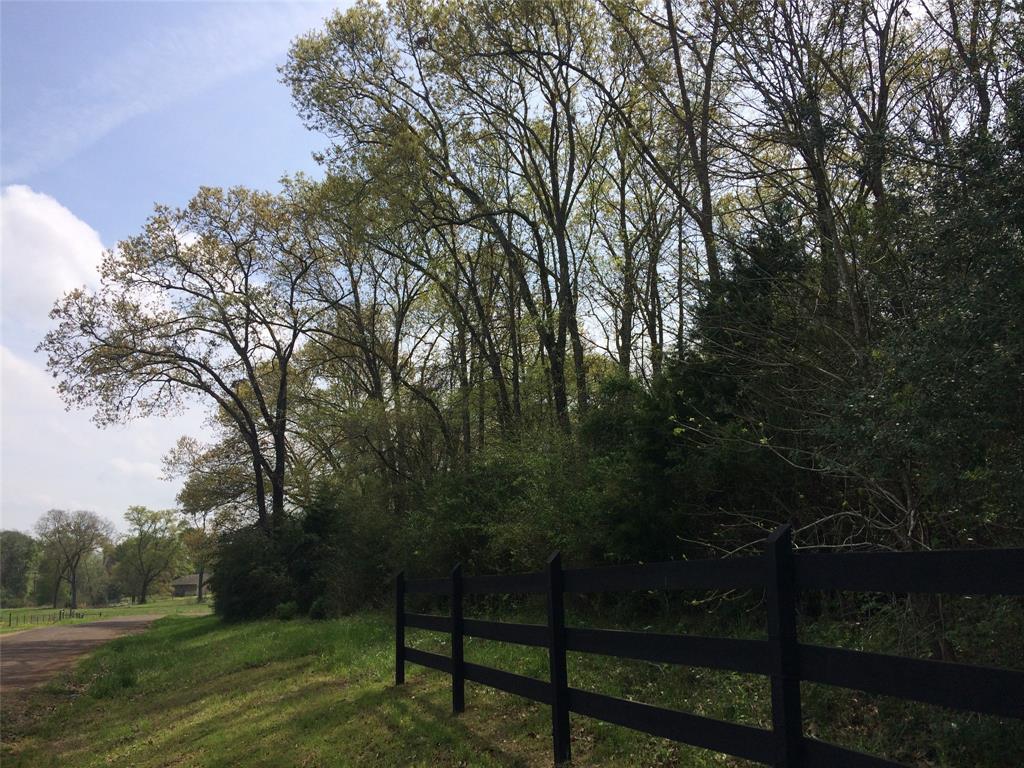 TBD TR. 39  County Road  160  Centerville Texas 75833, 63