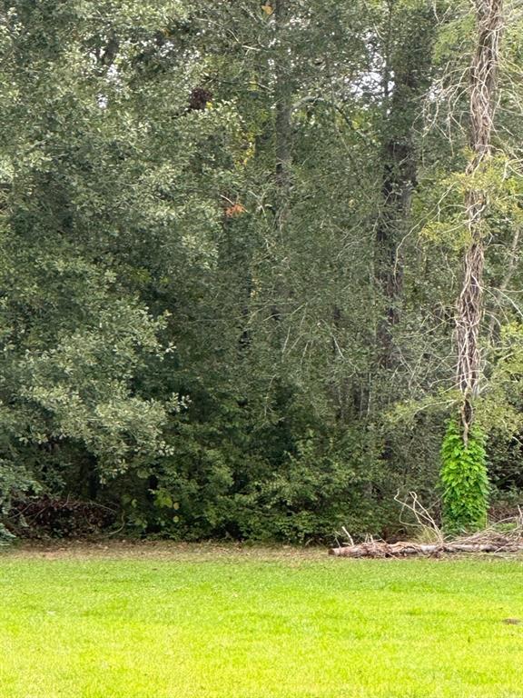 00000 Old River Dr, Old RiverWinfree, TX 77523