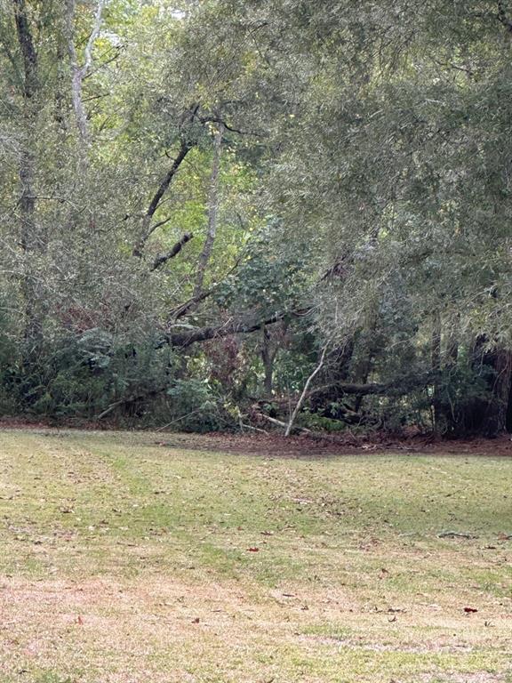 00000 Old River Dr, Old RiverWinfree, TX 77523