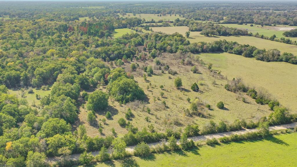 29.18+/- AC  Wiseman Road Midway Texas 75852, 52