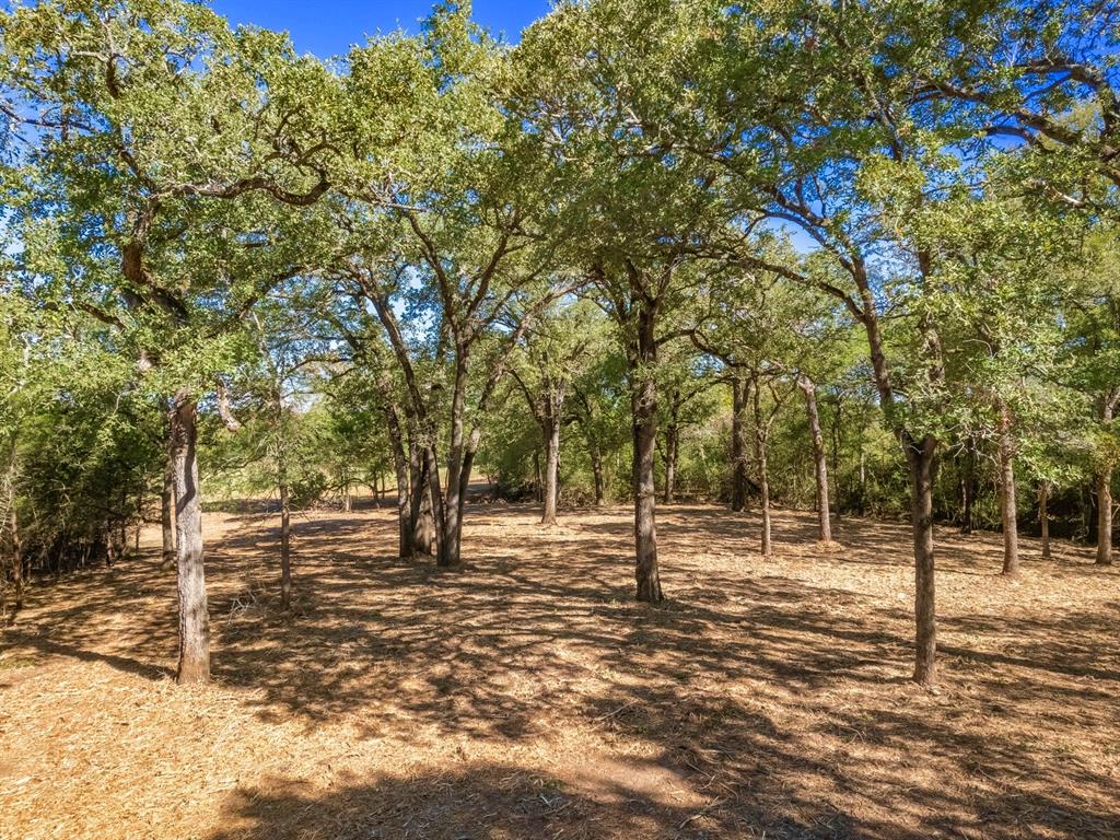 48+/- acre for INVESTMENT, LIVESTOCK, RECREATION, HUNTING or a family GETAWAY just minutes from Rockdale and Lexington. 1 hour from downtown Austin, 2 hours from Houston, 45 minutes to College Station, 35 minutes to the growing areas of Taylor and Bastrop (Home to the new Samsung and Tesla factories) and quick access to major Texas highways. Just a short drive down a rustic, oak-lined road and across a beautiful bridge, is a unique opportunity to own a piece of Central Texas history as part of the Santa Anna land grants from the 1800's.
The secluded 413 Ranch features; live water from Allen Creek, hillside views to the north, beautiful sunrise and sunset views, two seasonal ponds and the Allen Creek river bottom, year-round home to; whitetail deer, wild turkey, LOTS of wild pigs, dove, ducks and many other native species - a sportsman's paradise! Seller-Imposed restrictions ensure exclusivity and seclusion. Everything country living offers with the conveniences of town nearby!