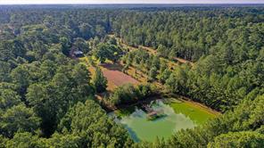 900 Hill, Willis, TX, 77378
