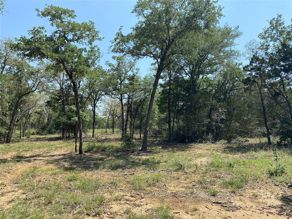 12 acres south of Smithville, TX. This property was part of 184 acres. This listing is for TRACT 7 (see attached aerial). Wooded acreage w/beautiful trees/abundant wildlife/nice, restricted homesites. Current exemption is held by wildlife management. Perfect for your new home or getaway cabin, this tract is off the beaten path yet close to retail, schools, & other amenities in Smithville & Bastrop. Electricity available/Bluebonnet Electric on site. Water well & septic needed. (Photos are of the entire tract, not necessarily the subject tract.)