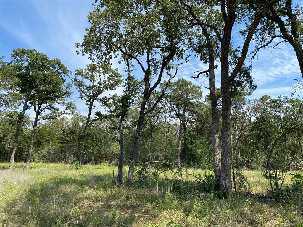 TBD High Crossing Road - Tract 7  , Smithville, Texas image 11
