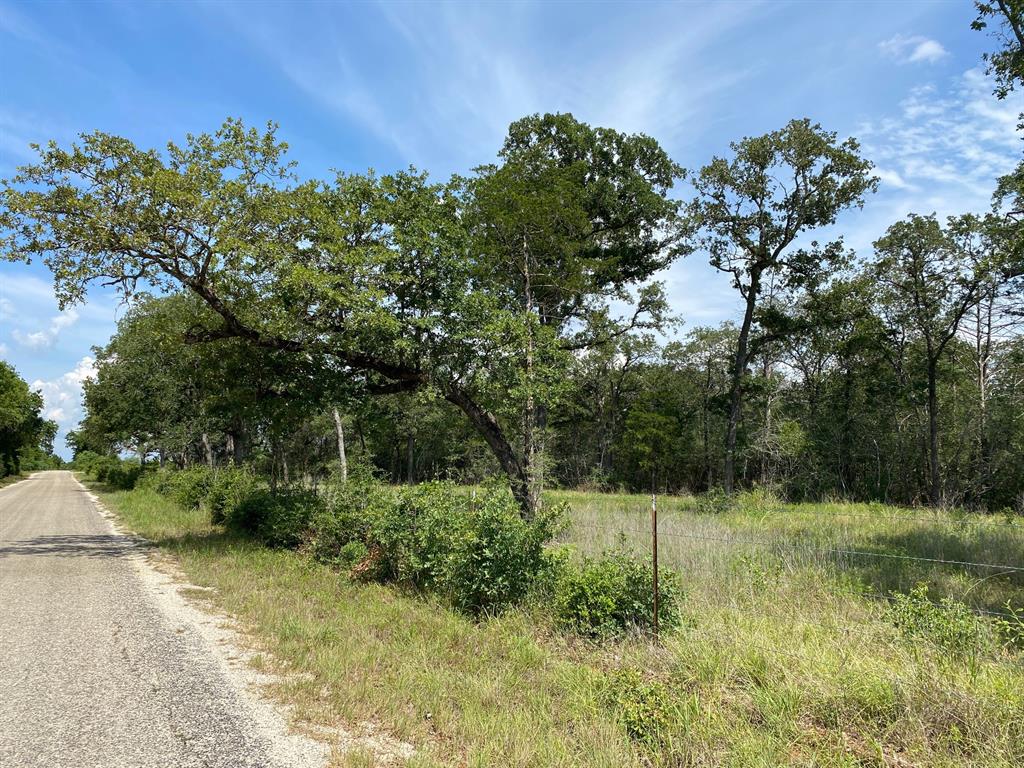TBD High Crossing Road - Tract 7  , Smithville, Texas image 12
