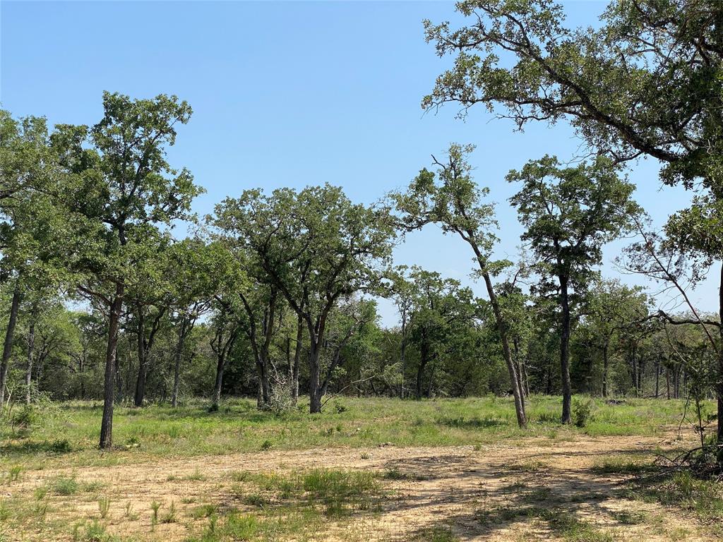 TBD High Crossing Road - Tract 7  , Smithville, Texas image 3