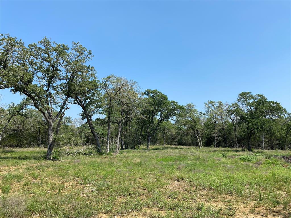 TBD High Crossing Road - Tract 7  , Smithville, Texas image 4