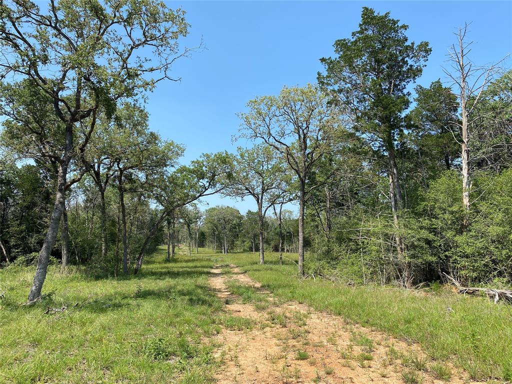 TBD High Crossing Road - Tract 7  , Smithville, Texas image 6