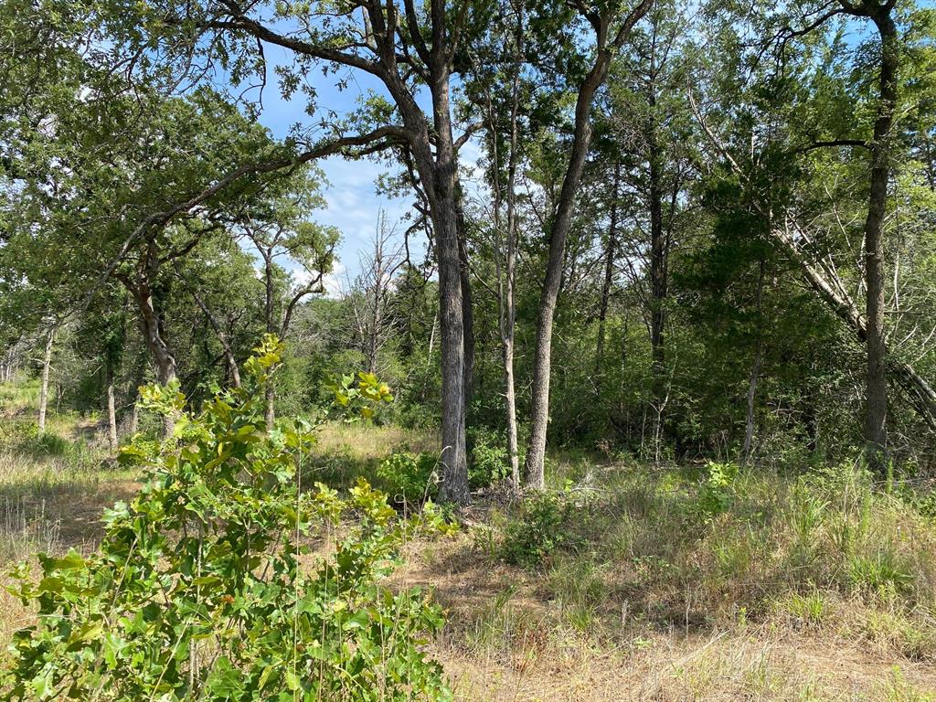 TBD High Crossing Road - Tract 7  , Smithville, Texas image 8