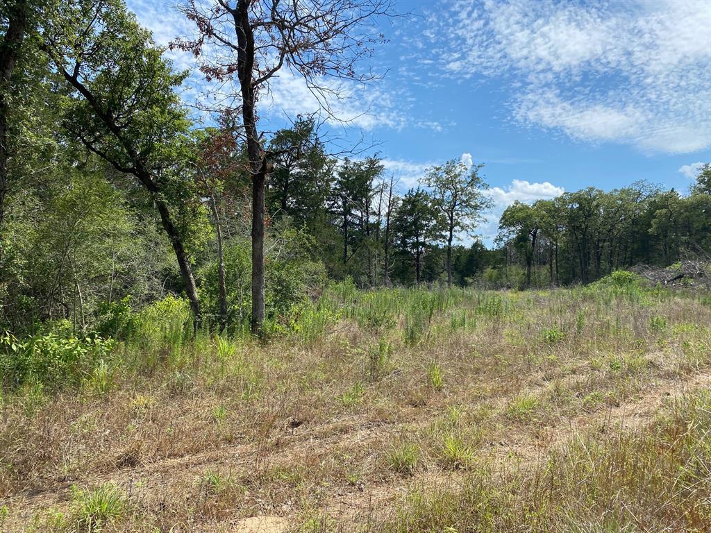 TBD High Crossing Road - Tract 7  , Smithville, Texas image 9