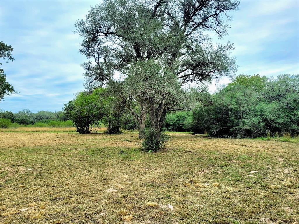 This gorgeous 10.7 acre slice of Texas is ready for your dream home or weekend place! The areas along the property lines are cleared and easily defined as well as a homesite location. It is perfect for raising Livestock or exotics, building your own custom home, or starting your own farm. This ag-exempt, unrestricted property is just minutes away from Coleto Creek Park and the historic town of Goliad, Texas.  Goliad was an essential part of the Independence of the Republic of Texas. Close to town is the Goliad State Park and Historic Sites which are partially bordered by the San Antonio River. Call today to schedule your showing!
Notice: The Legal description states 10.000 acres and the survey states 10.7 ac.