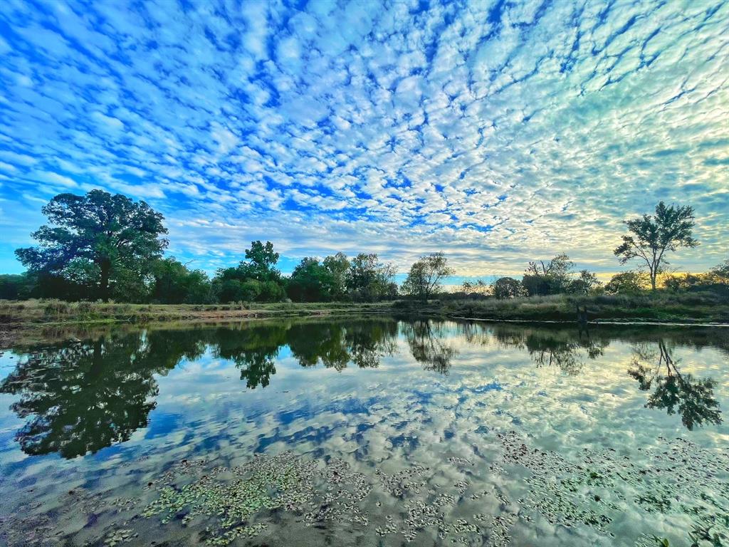 40 ac  FM 579  Leona Texas 75850, 63