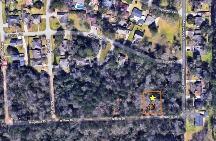 TBD  WILLOW DRIVE, LOT 120  Conroe Texas 77302, 19