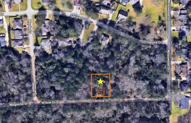 TBD  WILLOW DRIVE, LOT 118  Conroe Texas 77302, 19