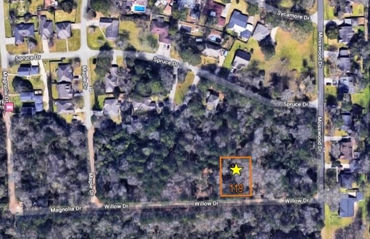 TBD  WILLOW DRIVE, LOT 119  Conroe Texas 77302, 19