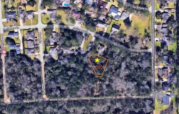 Lot 110,  Mosswood 02 subdivision  Conroe Texas 77302, 19