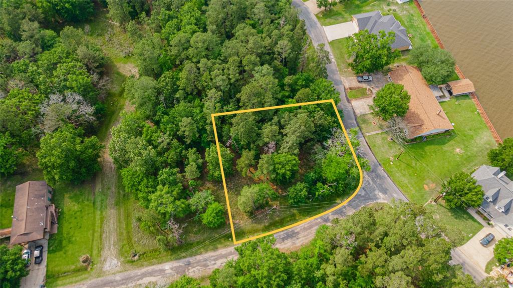 TBD Forrest Hollow Trinity Texas 75862, Trinity TBD Forrest Hollow Trinity Texas 75862, Trinity