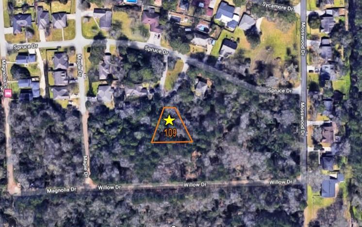 Lot 109,  Mosswood 02 subdivision  Conroe Texas 77302, 19