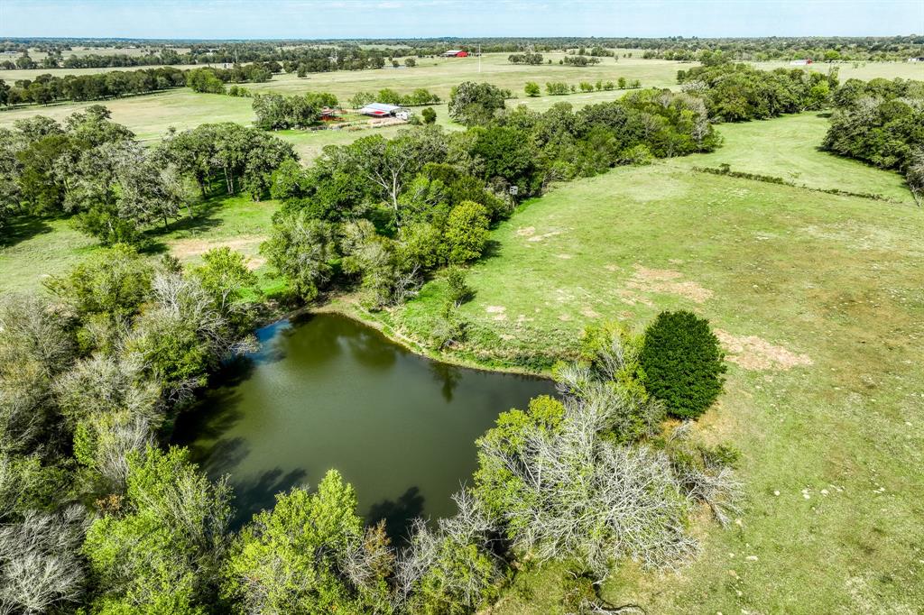 TBD (241 Acres)  County Road 119  Somerville Texas 77879, Somerville