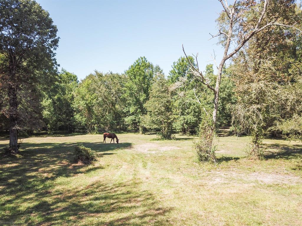 almost 12 acres and bring your horses