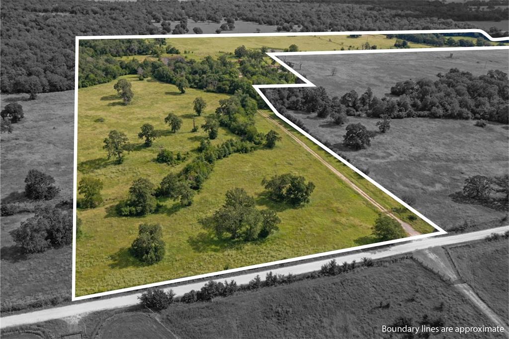 Build a life you love on these 48.87 AC located minutes from the local grocery store, dollar general, and North Zulch schools and just a comfortable drive from the hustle and bustle of Bryan/College Station. The peaceful setting offers an ideal mix of beautiful trees and high-quality improved pasture land, which is currently home to an abundance of wildlife. Cross fencing and multiple ponds scattered throughout this tract gives each portion of this property access to water, making it more than ideal for your next cattle operation. Electricity is in the area and partial fencing with an entrance gate is in place. Additional acreage is available for those who move fast, so don't miss your opportunity to customize your dream property in the exquisite Willow Branch Estates!