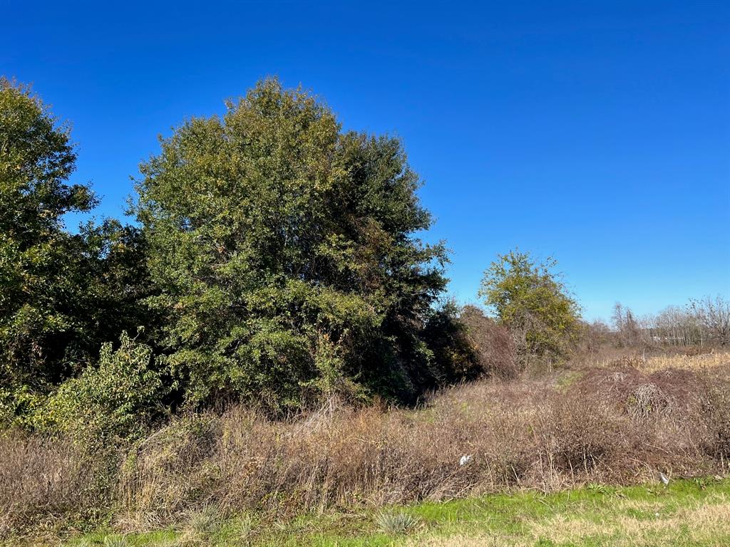 14.8 acres of prime property on the outskirts of Palestine. Long frontage on Highway 79 with division possible. Adjacent to the Wal Mart distribution center with great visibility. Excellent opportunity at a great price.