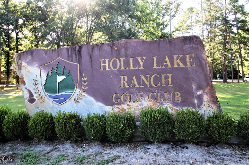 235  Cherrywood Lane Holly Lake Ranch Texas 75765, Holly Lake Ranch
