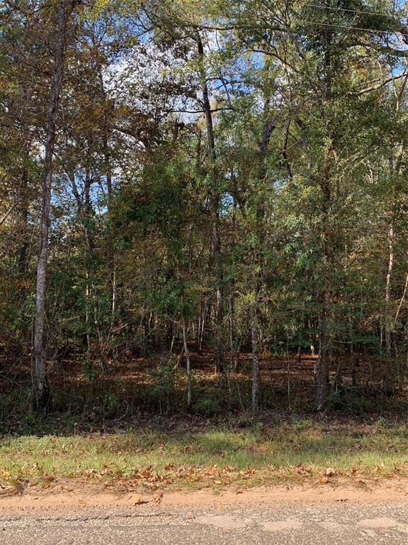 00  County Road 2650  Cleveland Texas 77327, Cleveland
