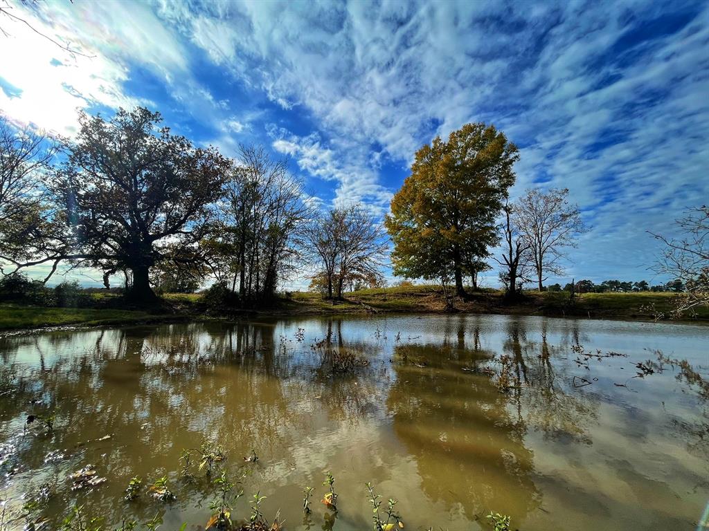 42 ac  FM 579  Leona Texas 75850, 43