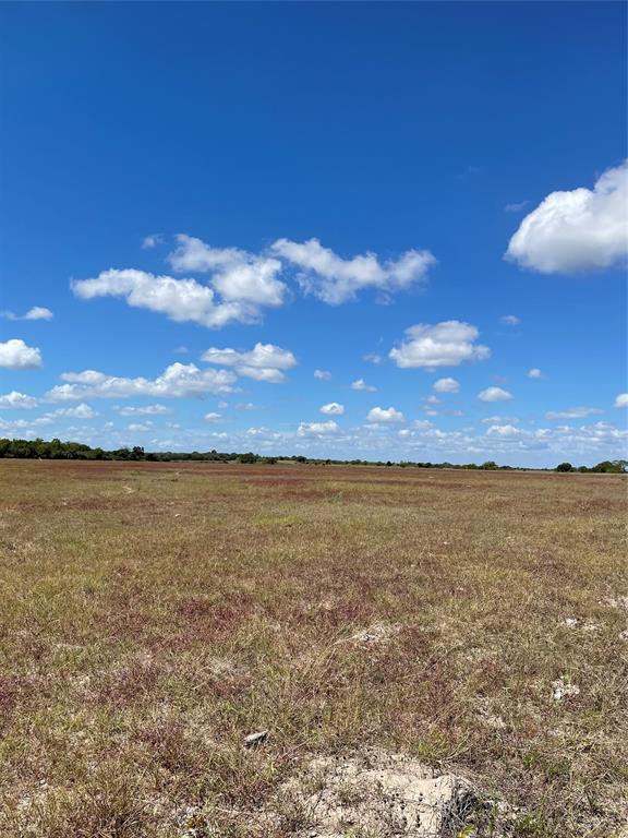 TBD Lot 2 County Rd 1  , Hallettsville, Texas image 13