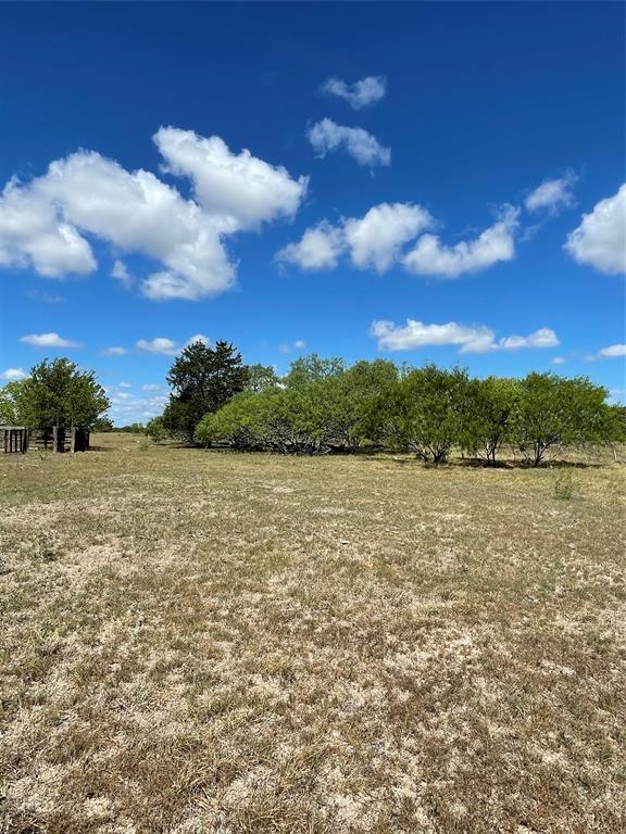TBD Lot 2 County Rd 1  , Hallettsville, Texas image 8