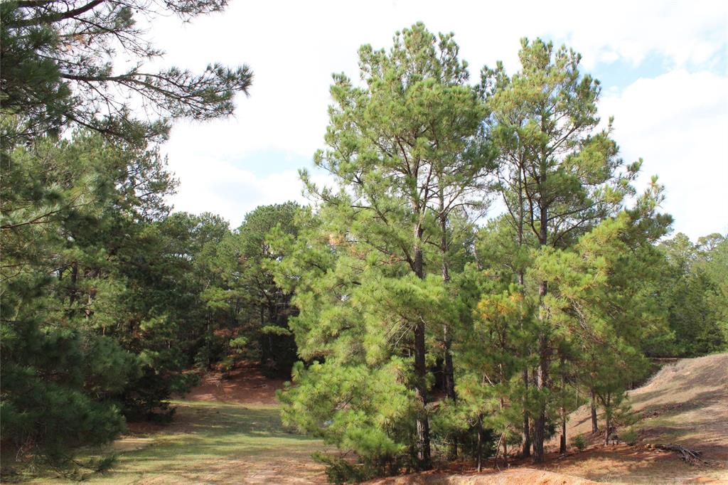 Beautiful heavily wooded and secluded property located just South of FM 2571 West of Smithville and Southeast of Bastrop!  Nice get away unimproved property for recreation, camping and hunting for Whitetail deer, feral hogs and wild turkey.  Current agricultural valuation in place.  The property has large Post Oak and towering Pine trees along with a deep wet weather drainage ravine that makes this place a must see!  The property has driving roads and trails through the woods.