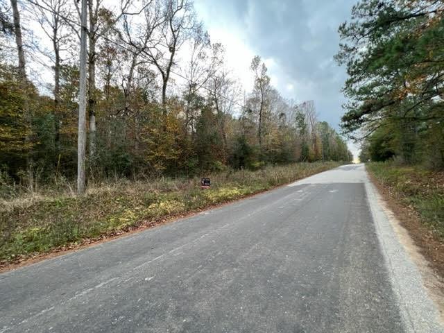 01  Tbd Duff Road  Livingston Texas 77351, 44