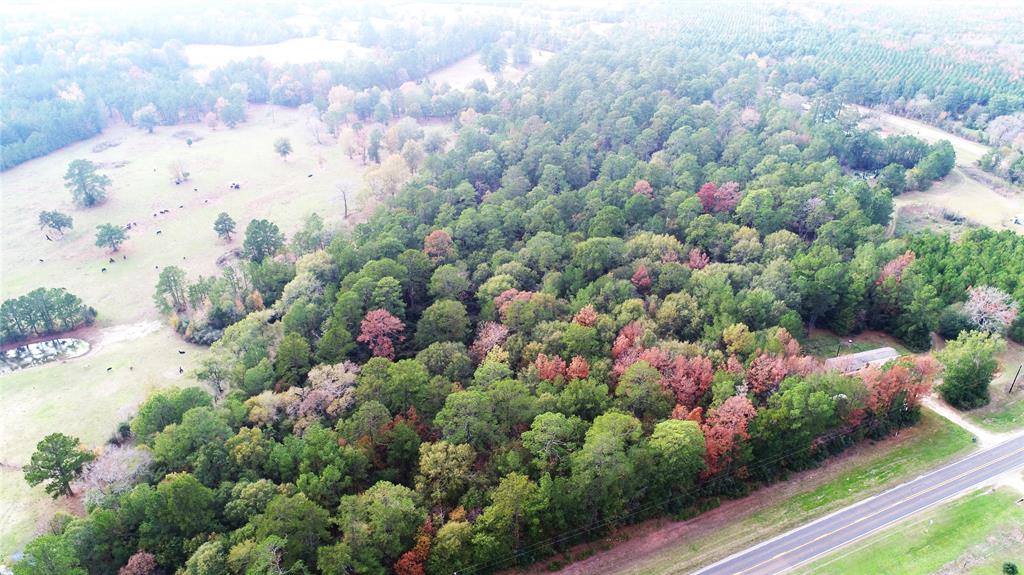 LOCATION, LOCATION, LOCATION! 
 This is a rare opportunity to purchase a great tract of land in the Pennington area. This 21.14-acre tract is located at the corner of US Highway 287 and FM 2781. This wooded property has over 600’ of frontage on US Highway 287 and over 400’ of frontage on FM 2781. If you’re looking for a spot to build that forever home, the mixed timber leaves a blank canvas for the new owner to pick and choose what trees will remain. This tract would also suit an investor looking to subdivide into several smaller tracts for resale. There are utilities available on both US Highway 287 and FM 2781. Properties like this don’t come on the market very often, so miss your opportunity! Call today to schedule a private tour.