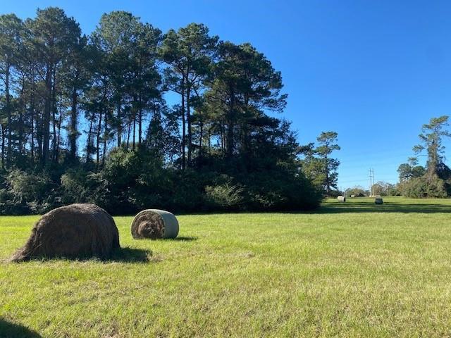 10.31 beautiful acres only a few minutes from downtown Willis Texas  Part of the property is beautifully wooded and part is open for hay production  An agricultural exemption is currently in place the land is vacant with no structures and is high and dry with no flood plain .Property fronts paved road with electric and gas available  No public water or sewer so well and septic will be required for building  Possibilities are limitless as property is unrestricted.