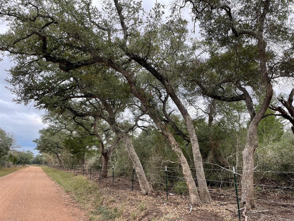 Are you looking for a 18+- beautiful homesite. Have you been looking for Hallettsville and Ezzell schools? This property is an  open canvas to build what you have always dreamed of and watch the sunsets and sunrises. Great road frontage on CR 461 and just 9 miles south of Hallettsville and a short distance off Hwy 77. This 18+- acres will have light restrictions to preserve the integrity of the area. The property already has electric service in place. Can be sold in individual 18-acre lots (4 parcels of 18+/- acres each) OR as the full 72+/- acres.