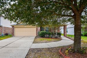 1219 Blackhawk Ridge, Rosenberg, TX, 77471