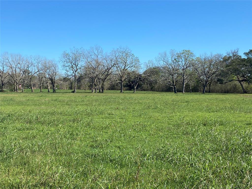 0000 S Hwy 36, Brazoria 0000 S Hwy 36 Brazoria Texas 77422, 5