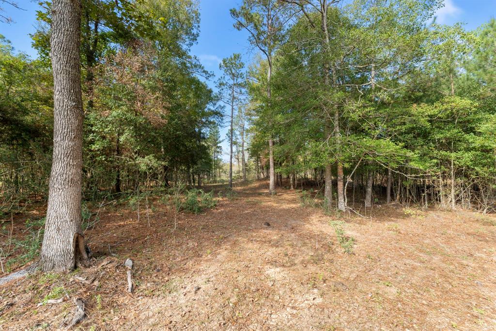 11 Acres (approximate) to be surveyed out of a 22 Acre tract. Great for hunting and a beautiful country location to build your home! This property is unrestricted and has low taxes. It is part wooded and part cleared. This tract shares a small pond with the neighbor. Seller will provide easement for access on the existing road. Shown by appointment only.