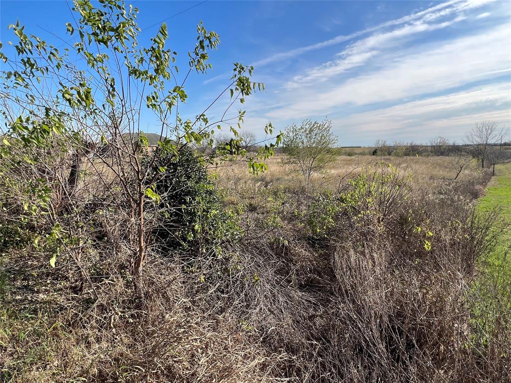 13109  Crane Road Buda Texas 78610, 83